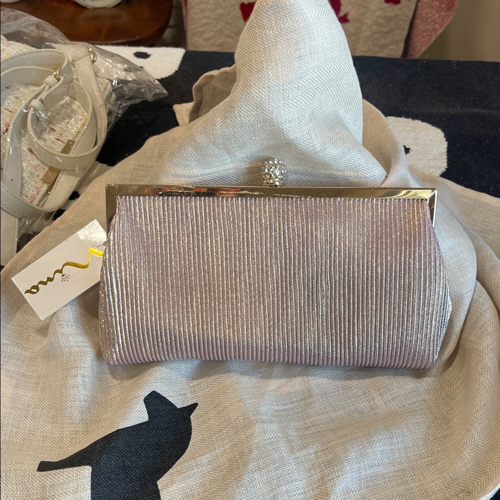 Nina Shimmering Silver Clutch
